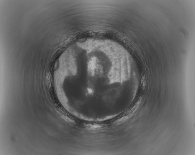 X0000113050772200909241454