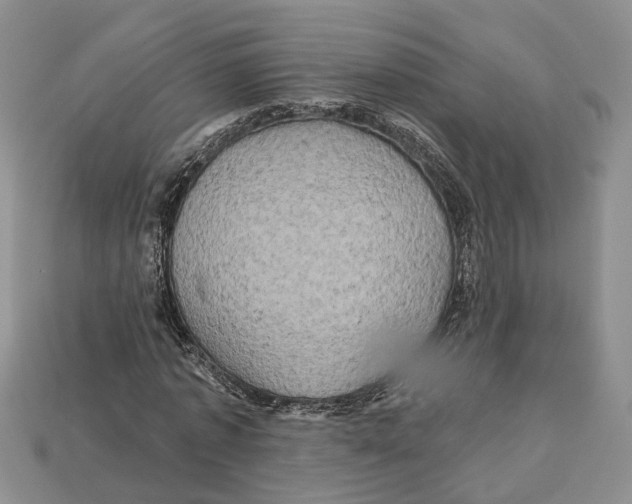 X0000113050773200909241454