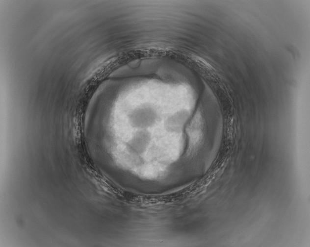 X0000113050774200909241454