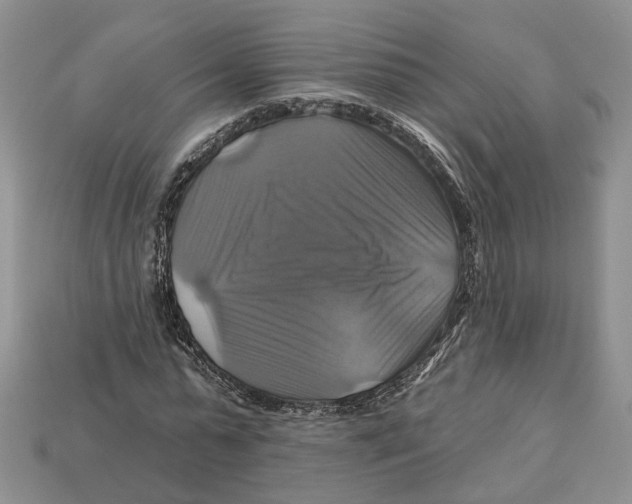 X0000113050775200909241454