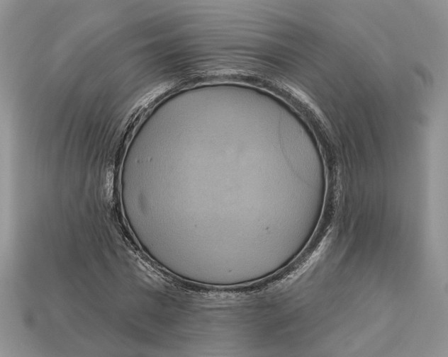 X0000113050777200909241454