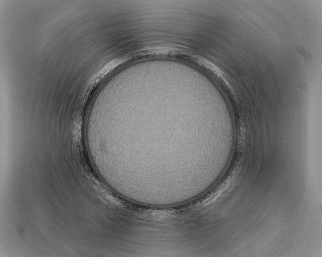 X0000113050778200909241454