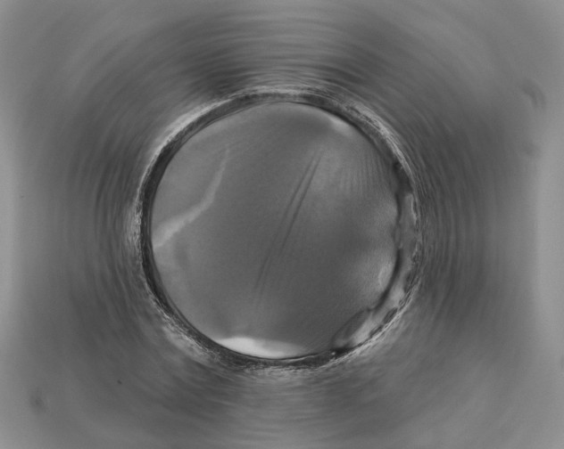 X0000113050779200909241454