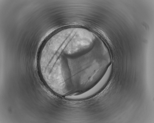 X0000113050780200909241454