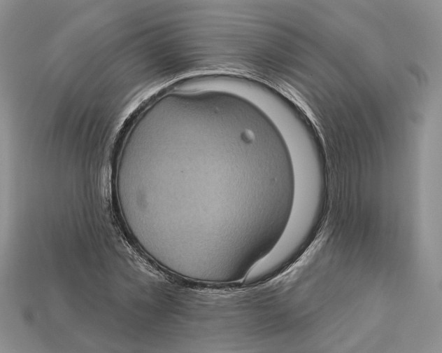 X0000113050781200909241454