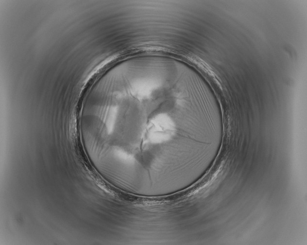 X0000113050782200909241454