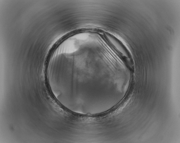 X0000113050783200909241454