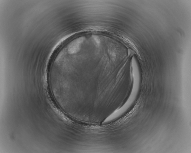 X0000113050784200909241454
