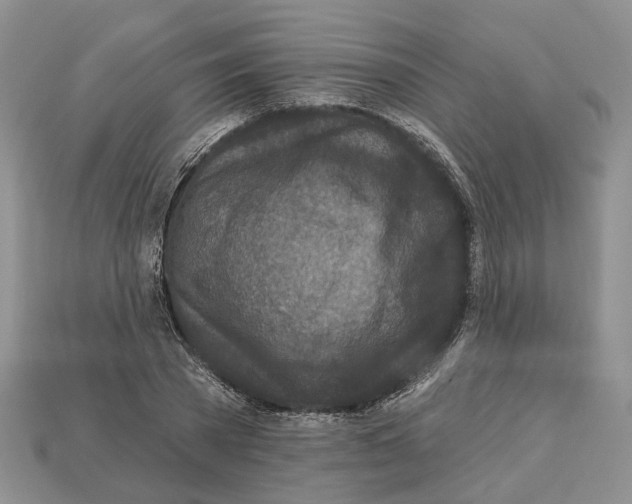X0000113050785200909241454