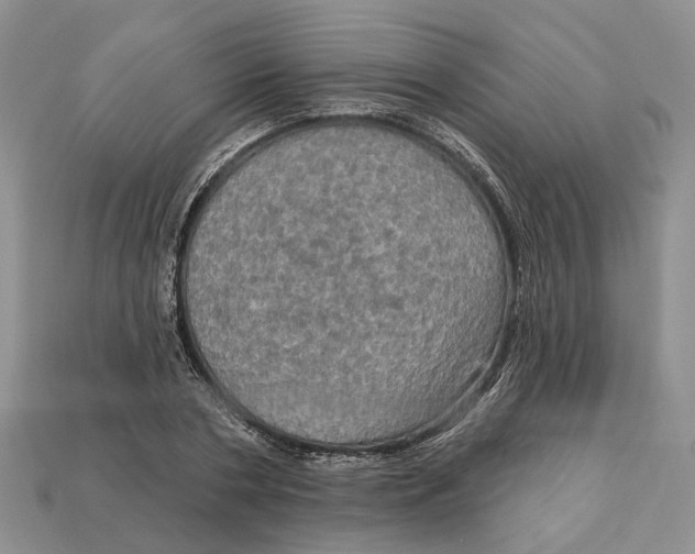 X0000113050786200909241454