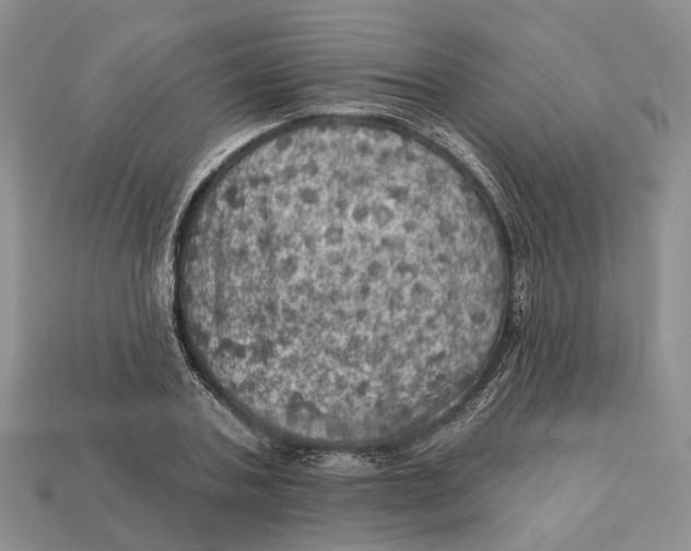 X0000113050787200909241454