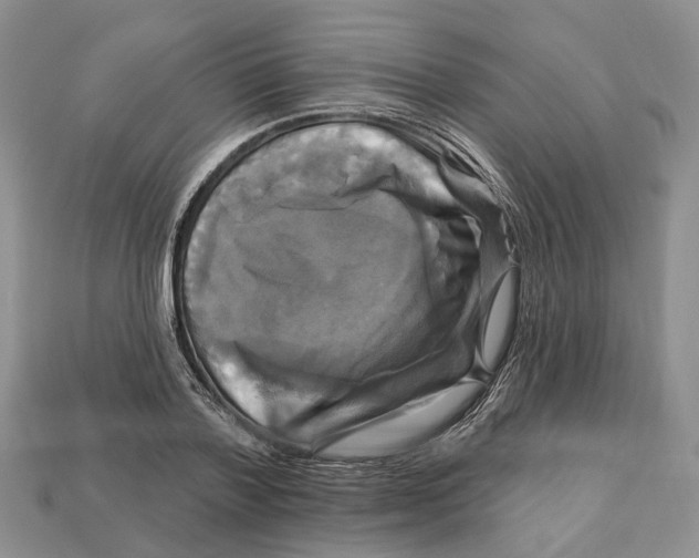 X0000113050788200909241454