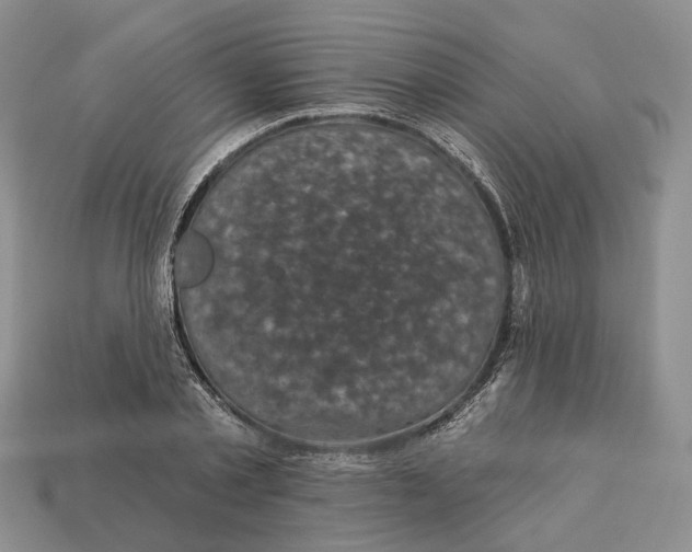 X0000113050789200909241454