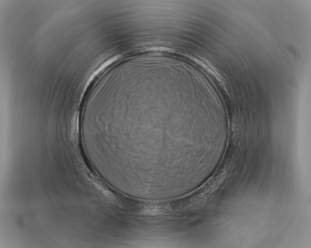 X0000113050790200909241454