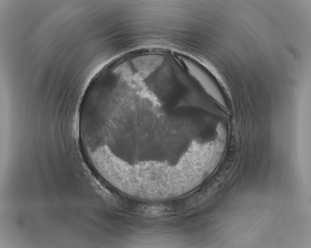 X0000113050791200909241454