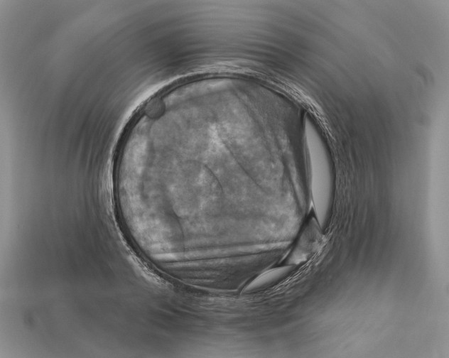 X0000113050792200909241454
