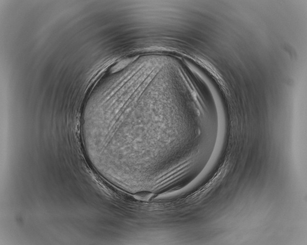 X0000113050793200909241454