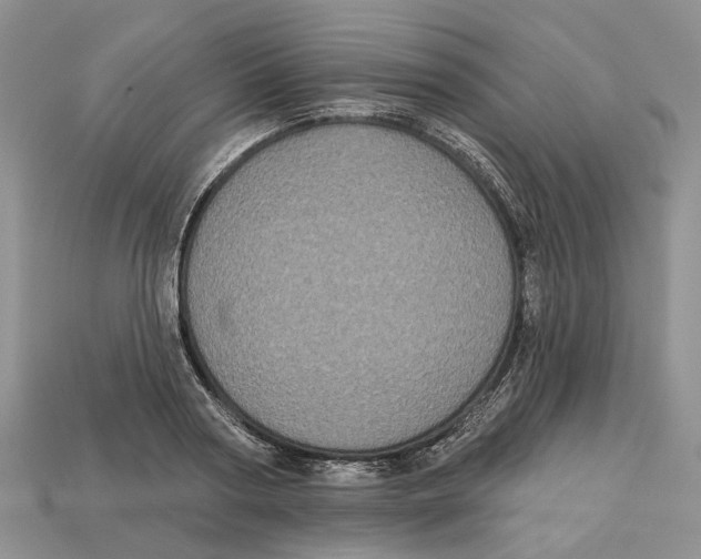 X0000113050794200909241454