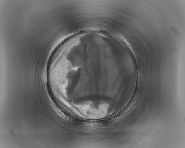 X0000113050795200909241454