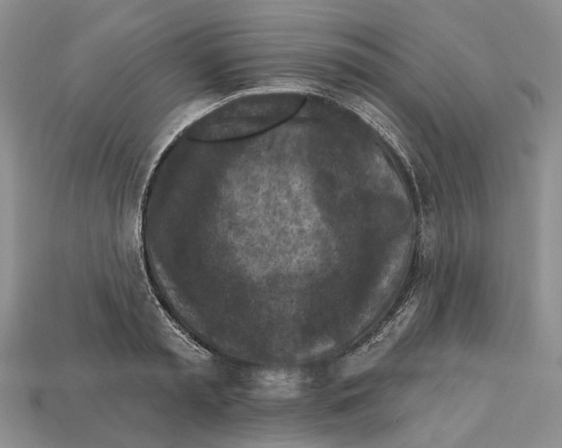 X0000113050797200909241454