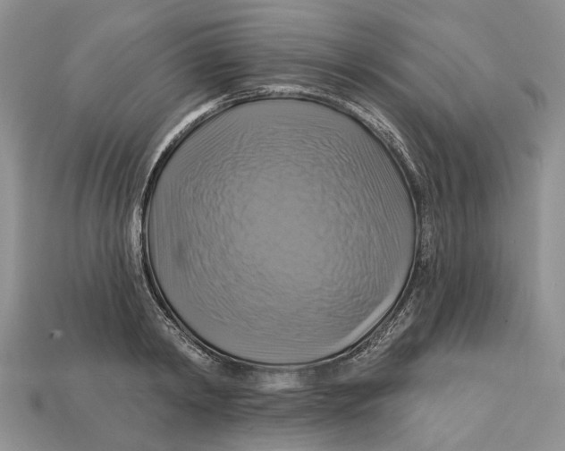 X0000113050798200909241454