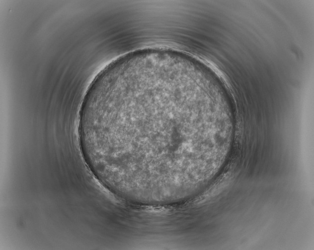 X0000113050799200909241454