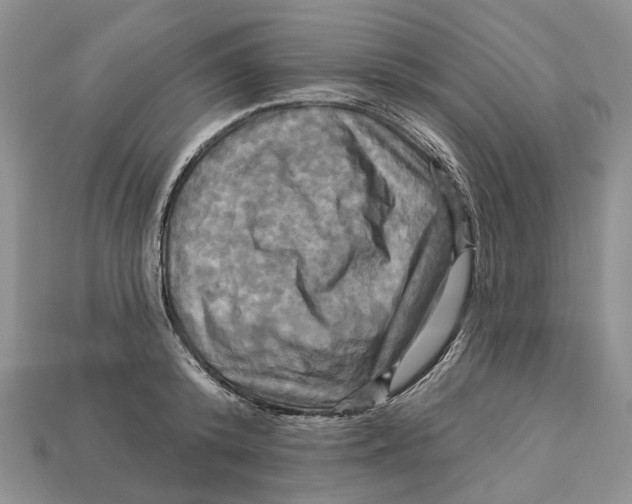 X0000113050800200909241454