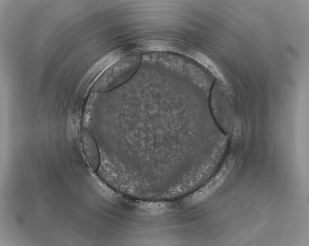X0000113050801200909241454