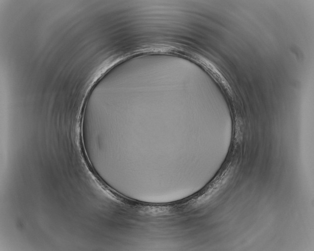 X0000113050802200909241454