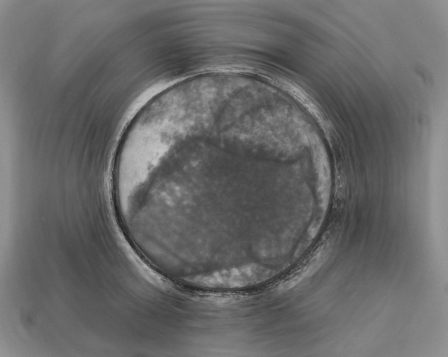 X0000113050803200909241454
