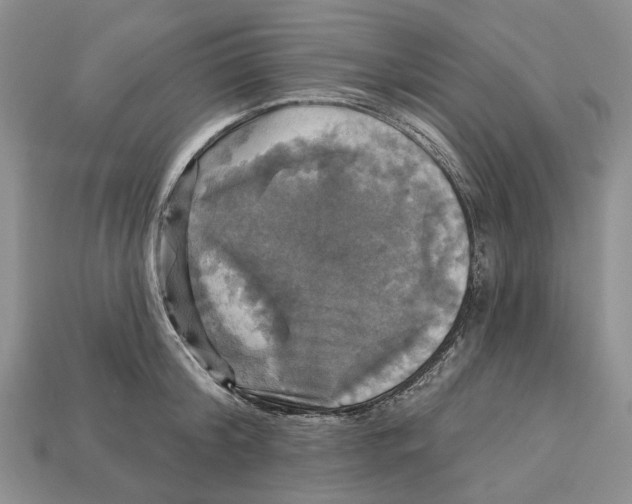 X0000113050804200909241454
