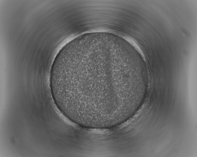 X0000113050805200909241454