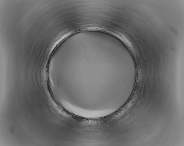 X0000113050806200909241454