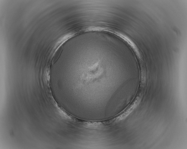 X0000113050809200909241454