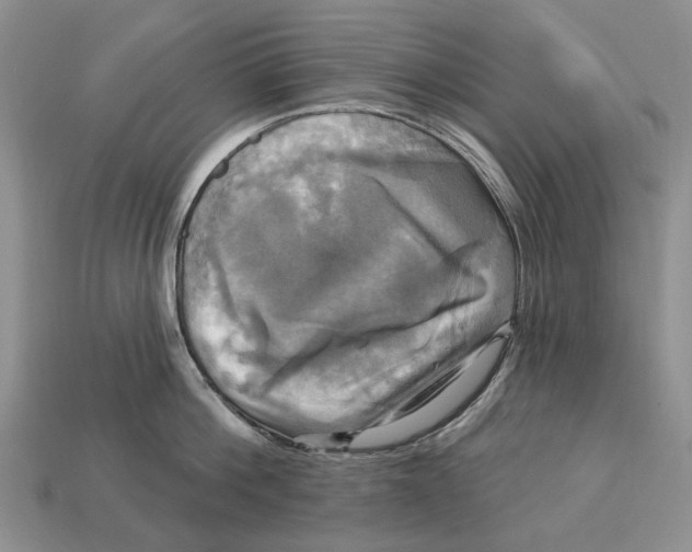 X0000113050812200909241454