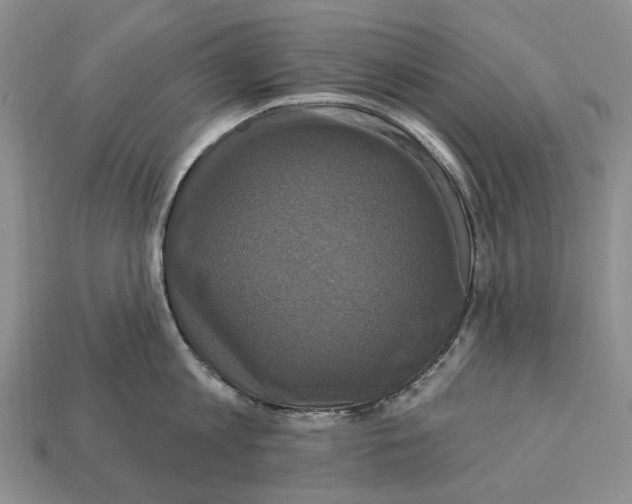 X0000113050813200909241454