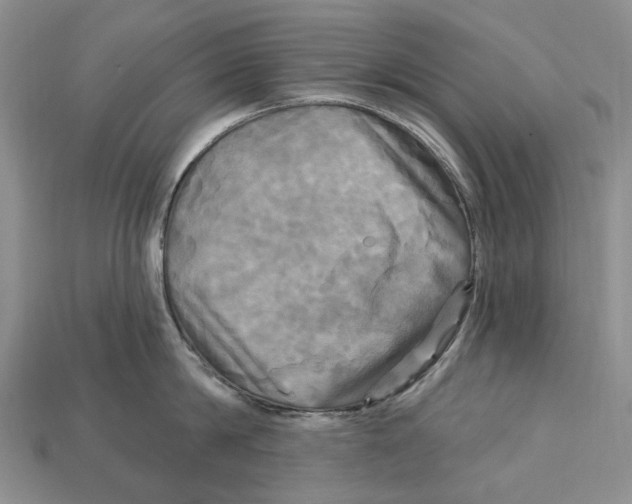 X0000113050814200909241454