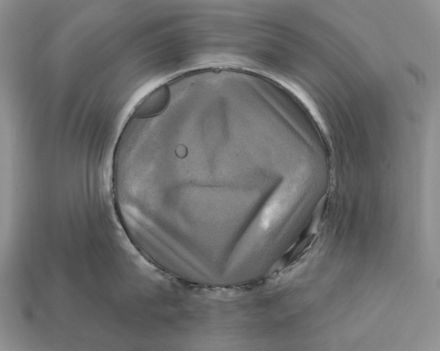 X0000113050815200909241454