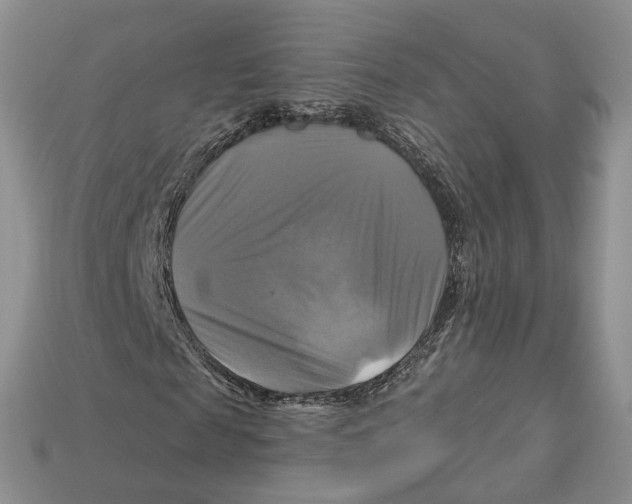 X0000113050817200909241453