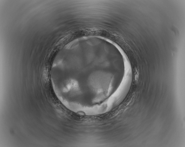 X0000113050819200909241453