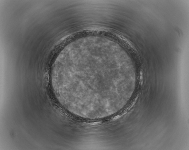 X0000113050821200909241453