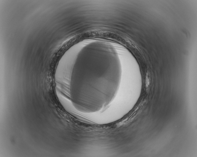 X0000113050822200909241453