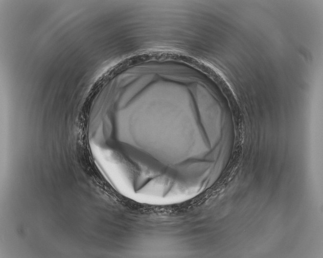 X0000113050823200909241453