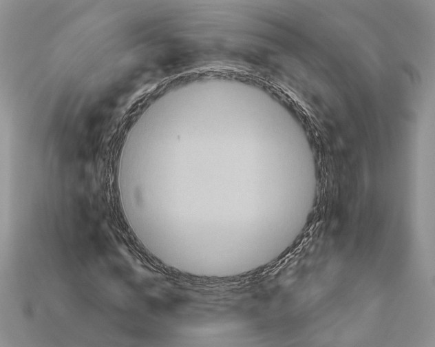 X0000113050824200909241453
