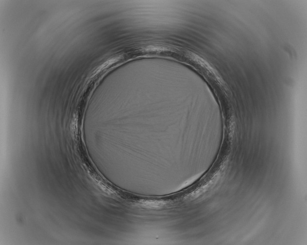 X0000113050825200909241453