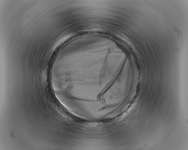 X0000113050826200909241453