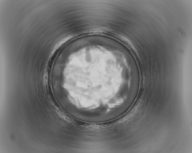 X0000113050827200909241453