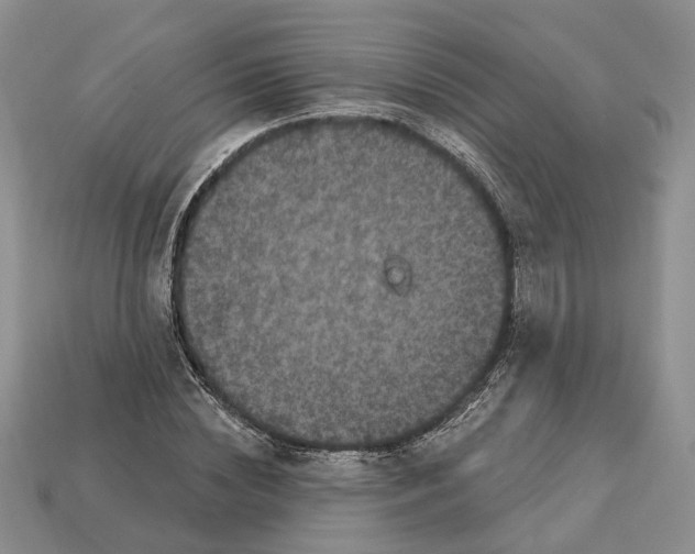X0000113050828200909241453