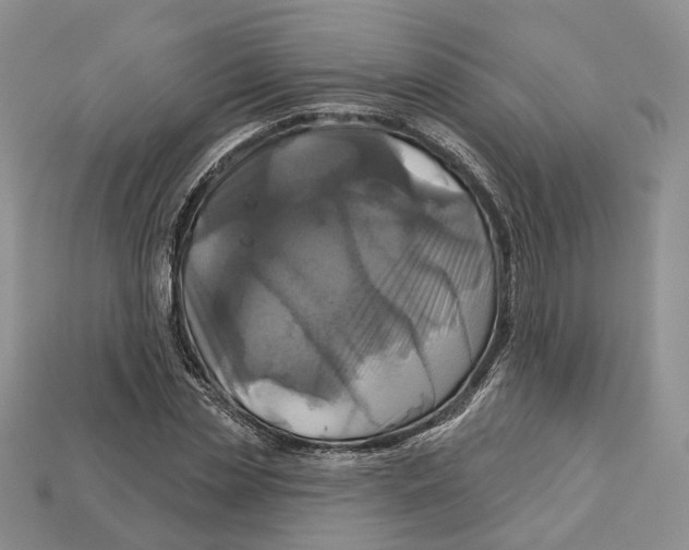 X0000113050829200909241453