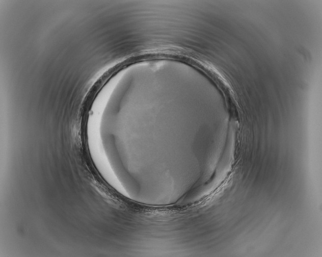 X0000113050830200909241453